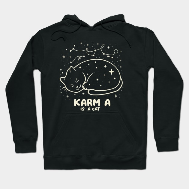 Karma Is A Cat Hoodie by Aldrvnd